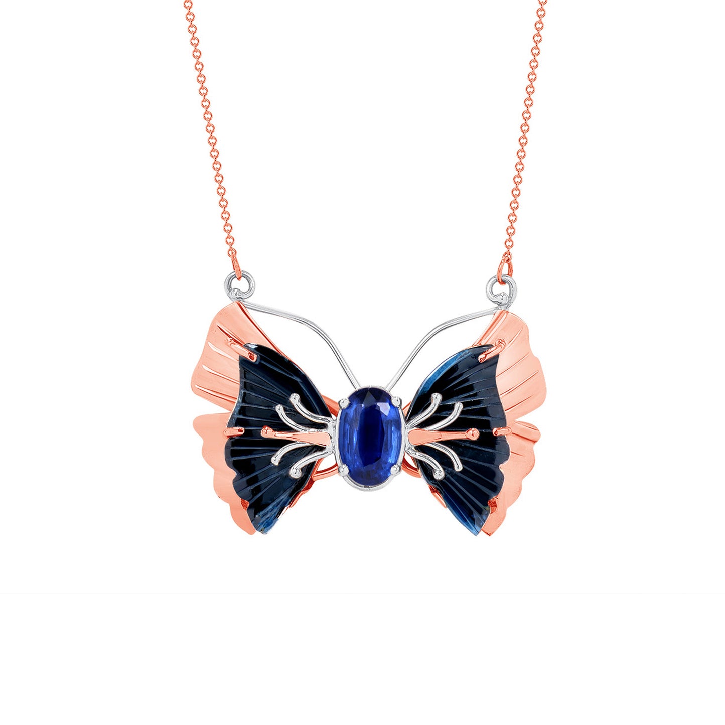 Royal Blue Butterfly
