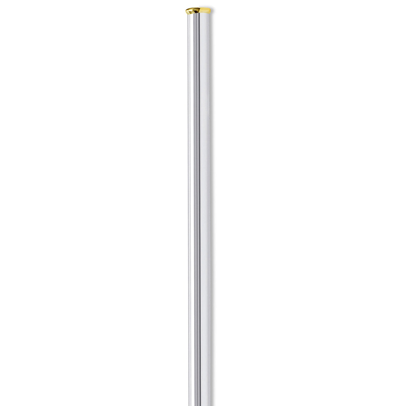 18k Gold Tipped Silver Cocktail Straw